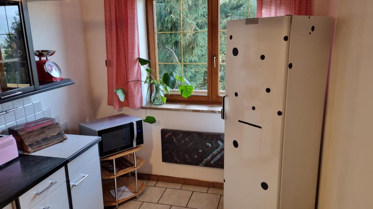 Fridas Place - Der Blick Ueber Ganz Villach - 160 M2 Ferienoase - Ganzes Haus Bis Zu 8 Personen Luaran gambar