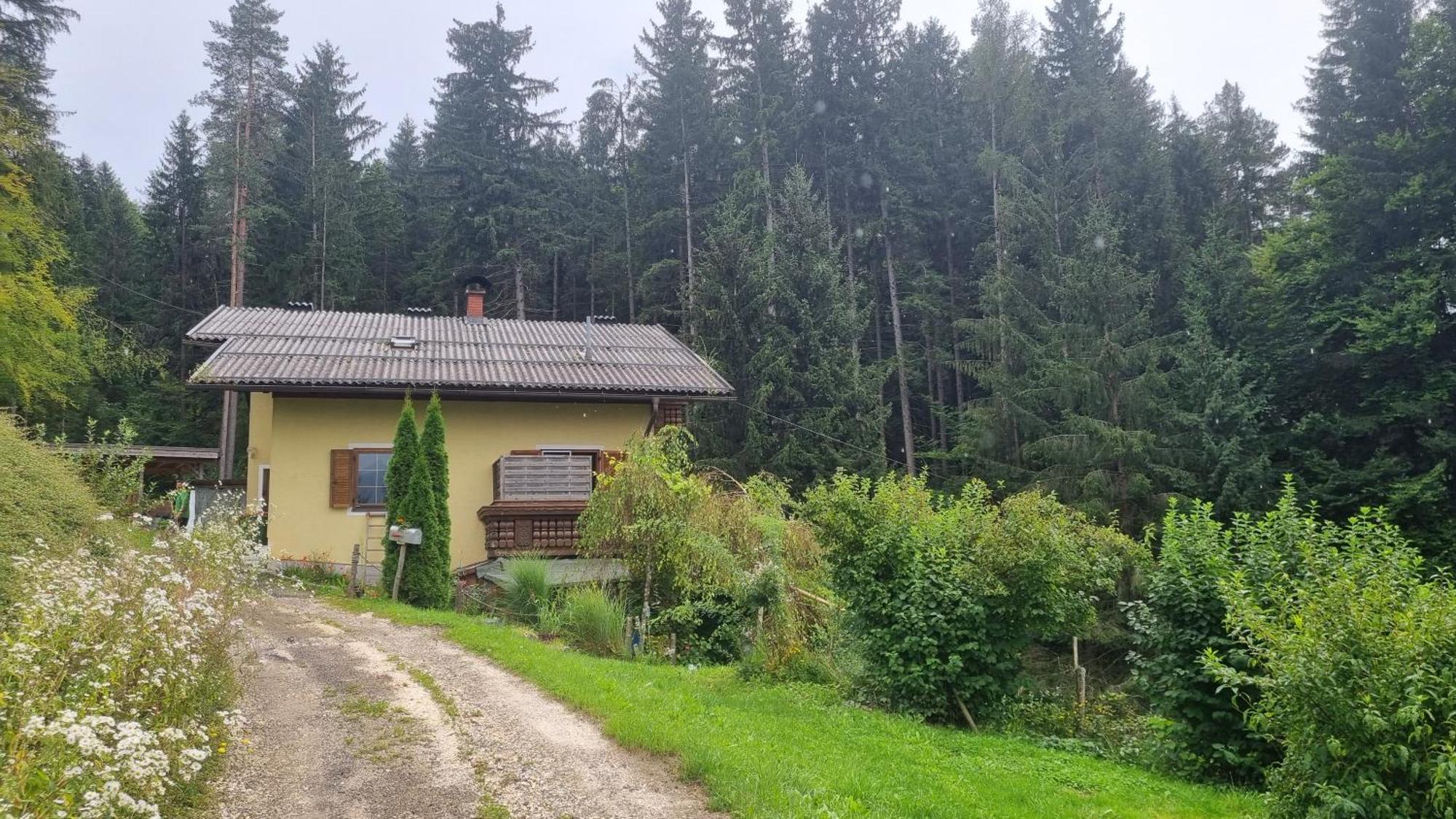 Fridas Place - Der Blick Ueber Ganz Villach - 160 M2 Ferienoase - Ganzes Haus Bis Zu 8 Personen Luaran gambar